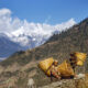 Helambu Trek mit Langtang Himal