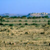 Jaisalmer-aus-der-Ferne