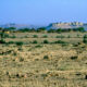 Jaisalmer-aus-der-Ferne